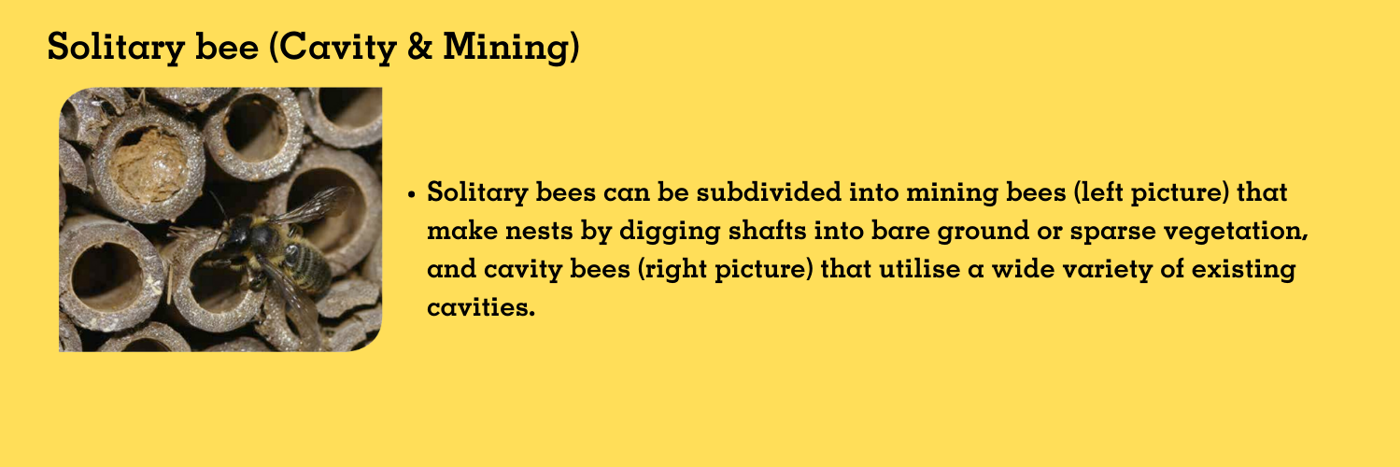 Mining Bee