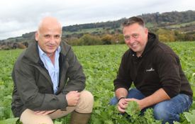 Paul Wilson (R) And Paul Pickford Inspect A Well Grown Cover Crop 