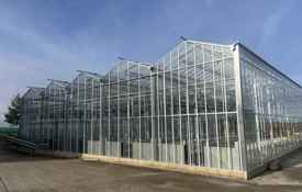 New Agrii Glasshouse