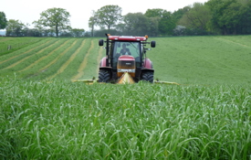 Reseeding grass the benefits