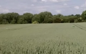 Screenshot 2025 12 04 112939