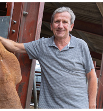 Agrii General Livestock