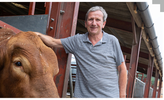 Agrii General Livestock