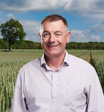 Tim Horton in wheat field