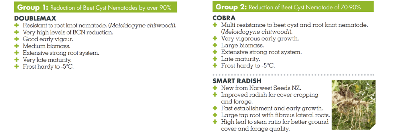 NEMATODE REDUCING VARIETIES