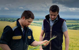 Agrii Headers Field Agronomy