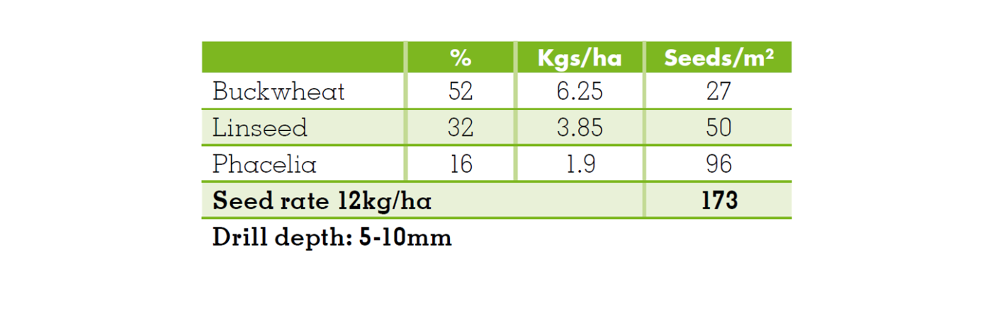 Fast And Late mixture details