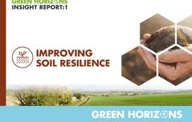 Insight Report 1 Cover Image