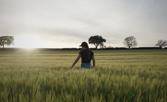 SUNSET WALK IN SPRING BARLEY