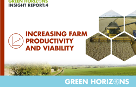 Insight Report 4 Cover Image