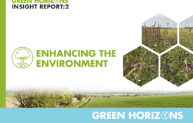 Insight Report 2 Cover Image